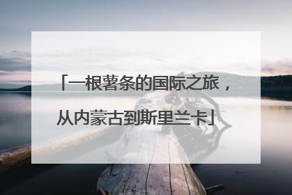 一根薯条的国际之旅，从内蒙古到斯里兰卡