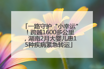 一路守护“小幸运”！跨越1600多公里，湖南2月大婴儿患15种疾病紧急转运