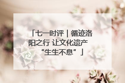 七一时评｜循迹洛阳之行 让文化遗产“生生不息”