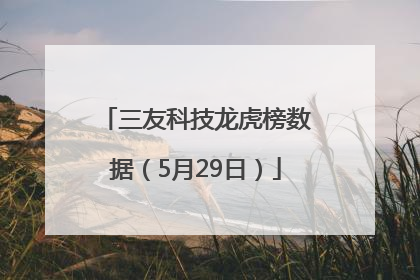 三友科技龙虎榜数据(5月29日)