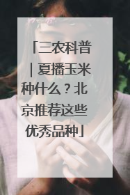 三农科普｜夏播玉米种什么？北京推荐这些优秀品种