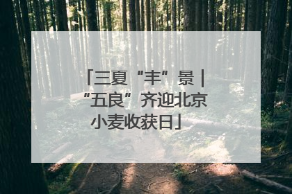 三夏“丰”景｜“五良”齐迎北京小麦收获日