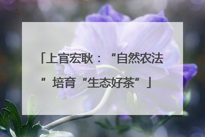 上官宏耿：“自然农法”培育“生态好茶”