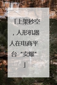 上架秒空，人形机器人在电商平台“卖爆”