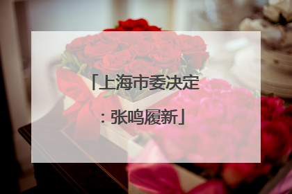 上海市委决定：张鸣履新
