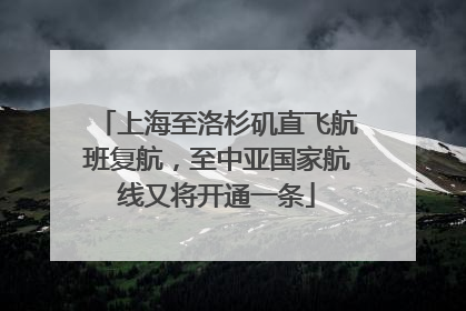 上海至洛杉矶直飞航班复航，至中亚国家航线又将开通一条