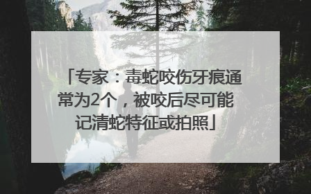 专家：毒蛇咬伤牙痕通常为2个，被咬后尽可能记清蛇特征或拍照