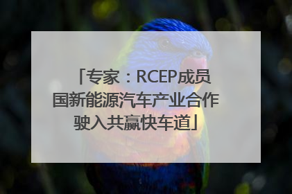 专家：RCEP成员国新能源汽车产业合作驶入共赢快车道