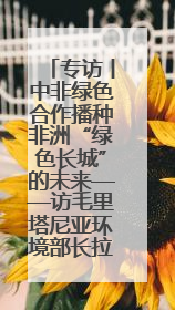 专访丨中非绿色合作播种非洲“绿色长城”的未来——访毛里塔尼亚环境部长拉格达夫