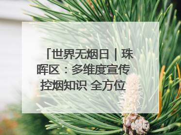 世界无烟日｜珠晖区：多维度宣传控烟知识 全方位共筑健康防线