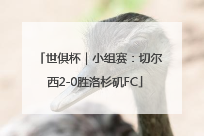 世俱杯｜小组赛：切尔西2-0胜洛杉矶FC
