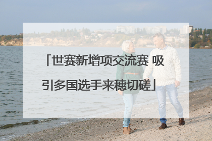 世赛新增项交流赛 吸引多国选手来穗切磋