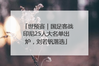 世预赛｜国足客战印尼25人大名单出炉，刘若钒落选