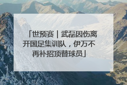 世预赛｜武磊因伤离开国足集训队，伊万不再补招顶替球员