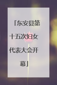东安县第十五次妇女代表大会开幕