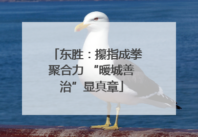 东胜：攥指成拳聚合力 “暖城善治”显真章