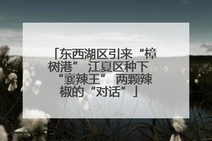 东西湖区引来“樟树港” 江夏区种下“襄辣王” 两颗辣椒的“对话”