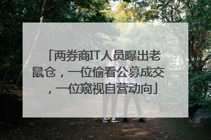 两券商IT人员曝出老鼠仓，一位偷看公募成交，一位窥视自营动向