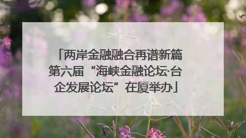 两岸金融融合再谱新篇 第六届“海峡金融论坛·台企发展论坛”在厦举办