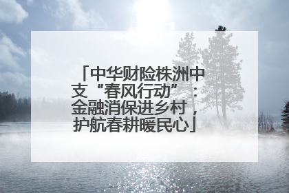 中华财险株洲中支“春风行动”：金融消保进乡村，护航春耕暖民心
