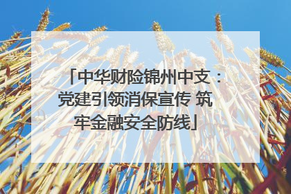 中华财险锦州中支：党建引领消保宣传 筑牢金融安全防线