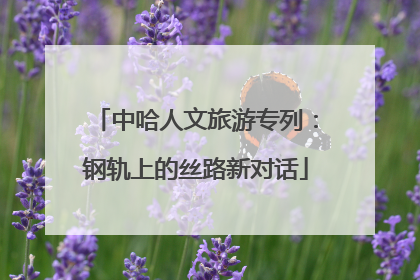 中哈人文旅游专列：钢轨上的丝路新对话