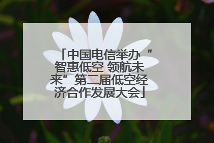 中国电信举办“智惠低空 领航未来”第二届低空经济合作发展大会