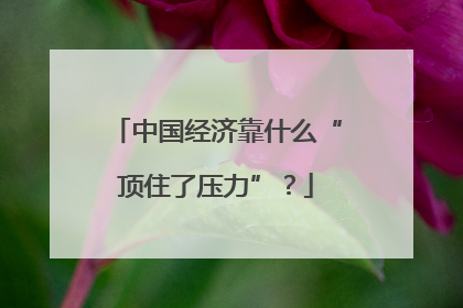 中国经济靠什么“顶住了压力”？