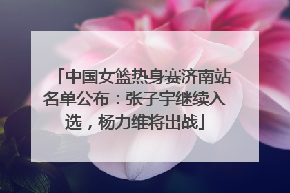 中国女篮热身赛济南站名单公布：张子宇继续入选，杨力维将出战