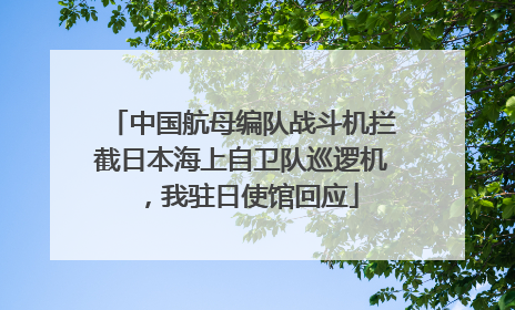 中国航母编队战斗机拦截日本海上自卫队巡逻机，我驻日使馆回应