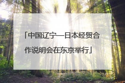 中国辽宁—日本经贸合作说明会在东京举行