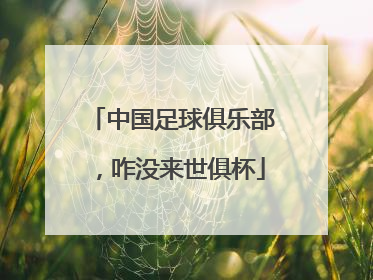 中国足球俱乐部，咋没来世俱杯