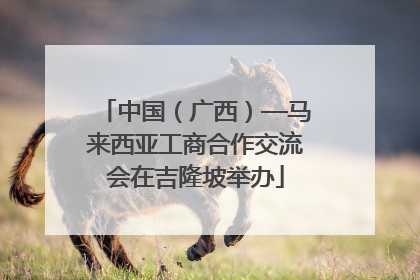 中国（广西）—马来西亚工商合作交流会在吉隆坡举办