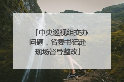 中央巡视组交办问题，省委书记赴现场督导整改