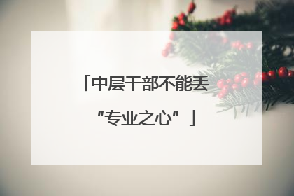 中层干部不能丢“专业之心”