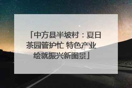 中方县半坡村：夏日茶园管护忙 特色产业绘就振兴新图景