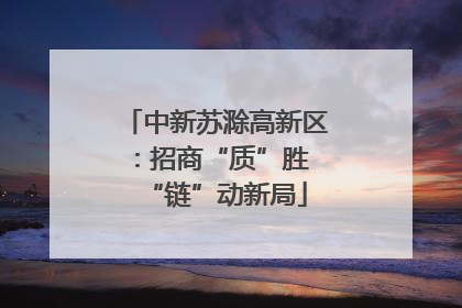 中新苏滁高新区：招商“质”胜 “链”动新局