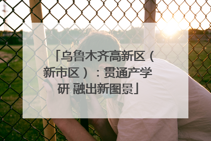 乌鲁木齐高新区（新市区）：贯通产学研 融出新图景