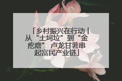 乡村振兴在行动丨从“土坷垃”到“金疙瘩” 卢龙甘薯串起富民产业链