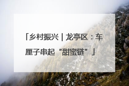乡村振兴｜龙亭区：车厘子串起“甜蜜链”