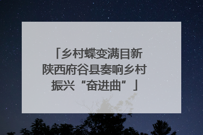 乡村蝶变满目新 陕西府谷县奏响乡村振兴“奋进曲”