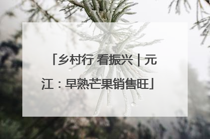 乡村行 看振兴｜元江：早熟芒果销售旺