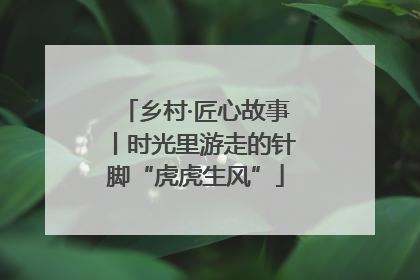 乡村·匠心故事丨时光里游走的针脚“虎虎生风”