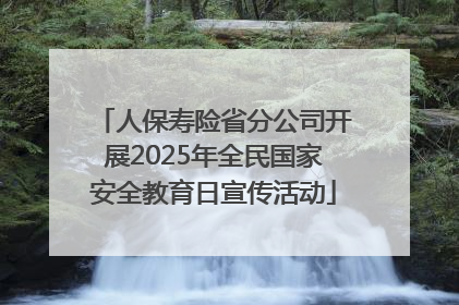 人保寿险省分公司开展2025年全民国家安全教育日宣传活动
