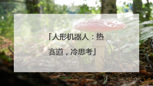 人形机器人：热赛道，冷思考