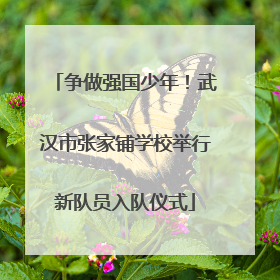 争做强国少年！武汉市张家铺学校举行新队员入队仪式