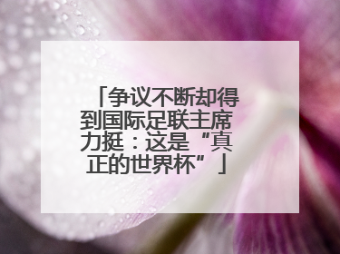 争议不断却得到国际足联主席力挺：这是“真正的世界杯”