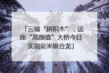 云端“拼积木”，这座“高颜值”大桥今日实现毫米级合龙