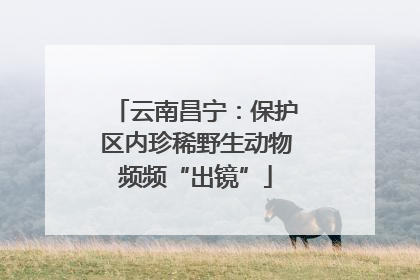 云南昌宁：保护区内珍稀野生动物频频“出镜”
