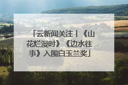 云新闻关注丨《山花烂漫时》《边水往事》入围白玉兰奖